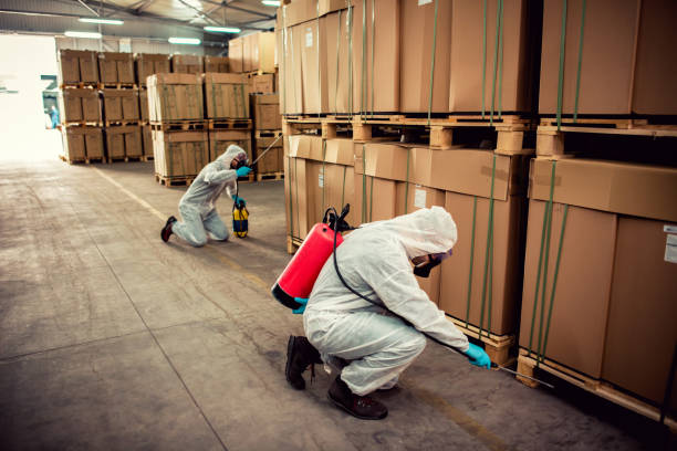 Best Termite Control Services  in Chesapeake Ranch Estates, MD