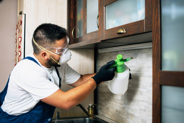 Best Flea Control Services  in Chesapeake Ranch Estates, MD