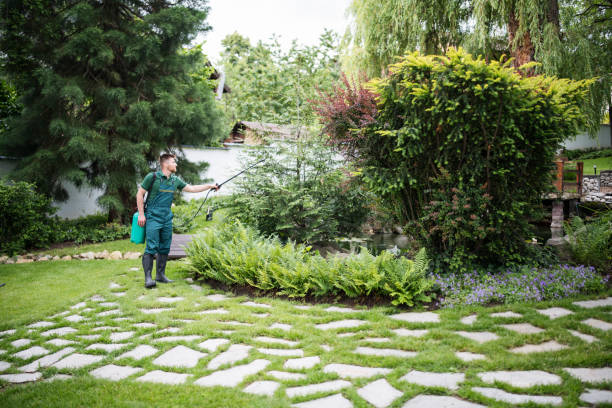Pest Prevention Services in Chesapeake Ranch Estates, MD