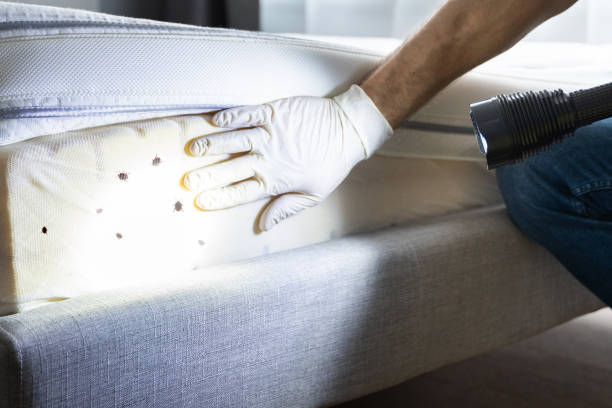 Chesapeake Ranch Estates, MD Pest Control Company